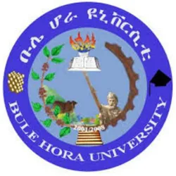 Bule Hora University