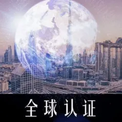 🌍全球 求职找公司咨询频道