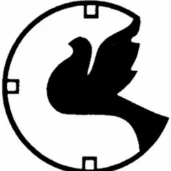 Akilanews.com Official
