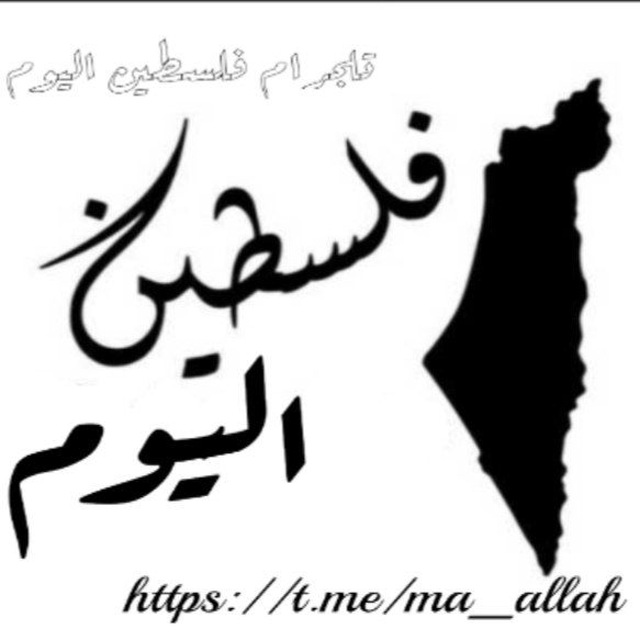 فلسطين اليوم 𓂆💚