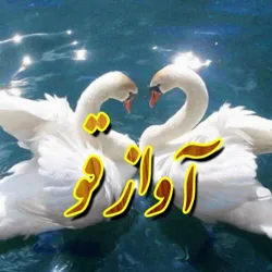 آواز قو🦢