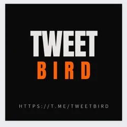 توییتی برد | Tweeti bird