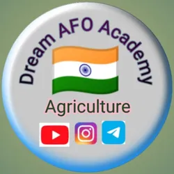 Dream AFO Academy️