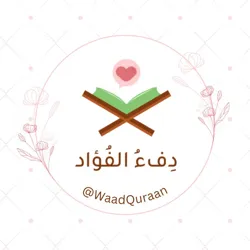 دِفءُ الفُؤاد💗🌿.