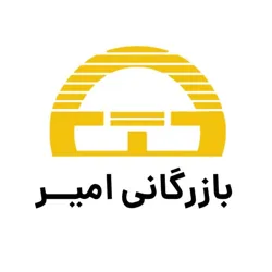 بازرگانی امیر