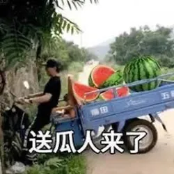 文明观球理性吃瓜