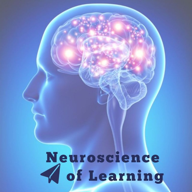 Neuroscience of Learning