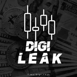 DigiLeak | Crypto Future