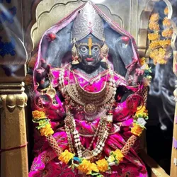 🔴 सट्टे का शिकारी 🔴