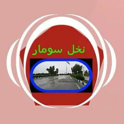 🌴 نخل سومار🌴